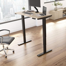 Load image into Gallery viewer, 48W x 24D Electric Height Adjustable Standing Desk
