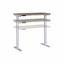 Load image into Gallery viewer, 48W x 24D Electric Height Adjustable Standing Desk
